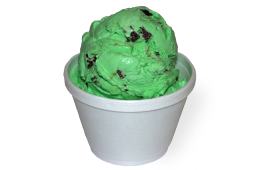 Mint Chocolate Chip Ice Cream